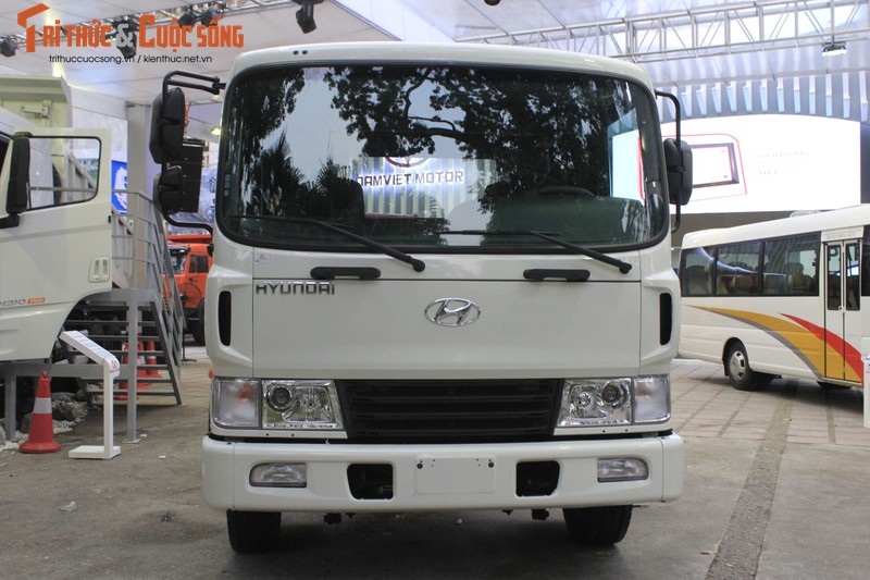 Can canh Hyundai Cargo Truck HD210 gia 1,4 ty dong-Hinh-2